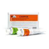 Airo CARPOX Epoxy Kleber 2K Epoxid Spachtel Reparaturmasse für Kunststoffteile 2 x 250g